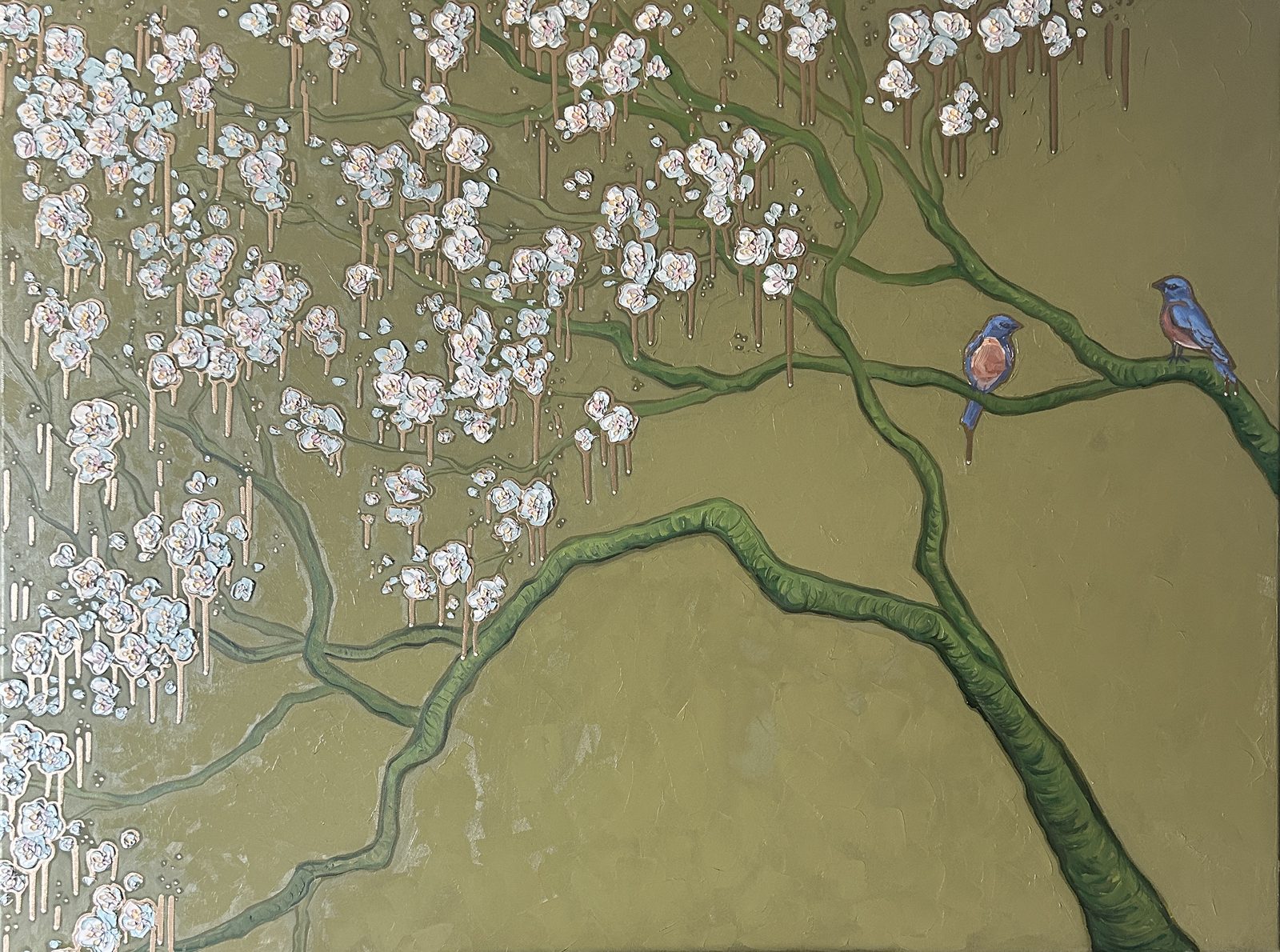 Two bluebirds on a branch of white blossoms against olive green