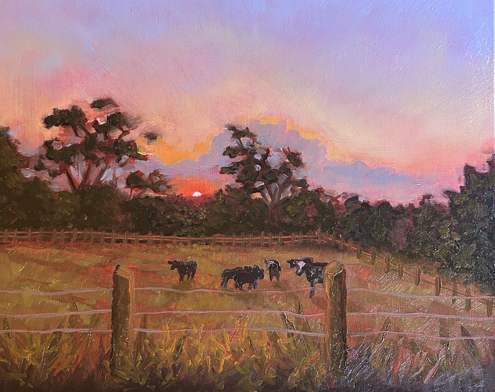 Sunset over a Tennessee pasture with cattle